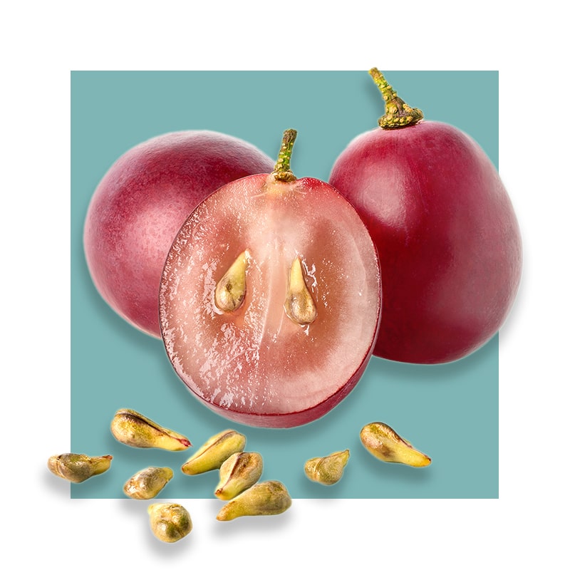 image of grapes and seeds