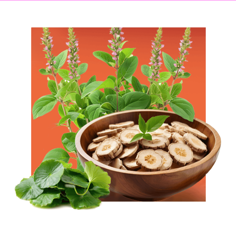 Centella Asiatica, Scutellaria Baicalensis, & Polygonum Cuspidatum Extracts