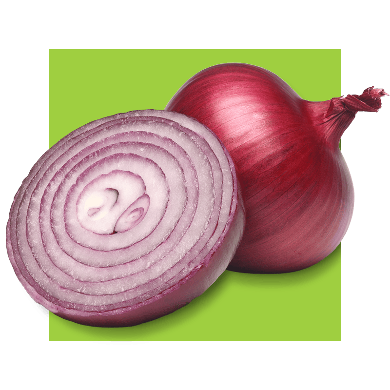 image of an onion