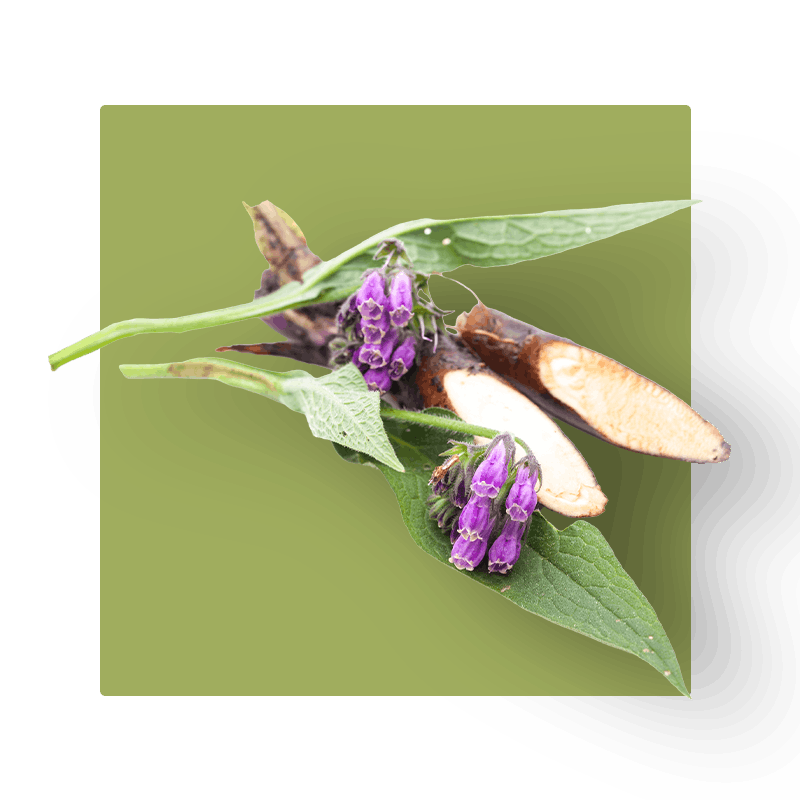 image of Allantoin
