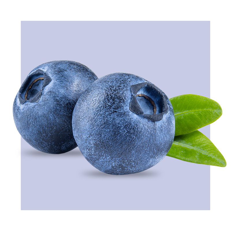 image of bilberries