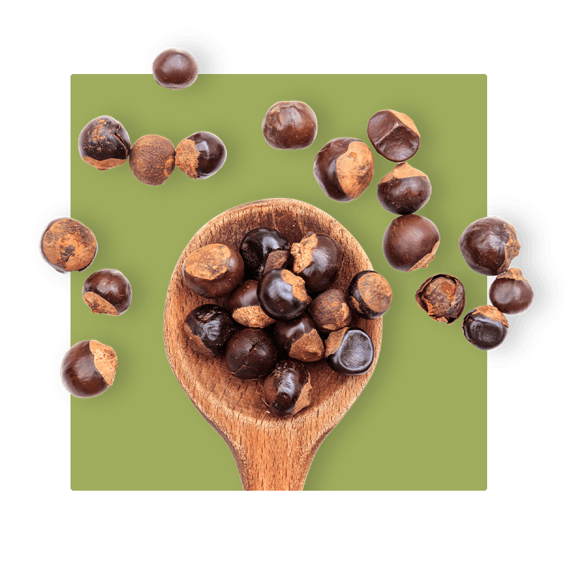 image of Guarana Extract