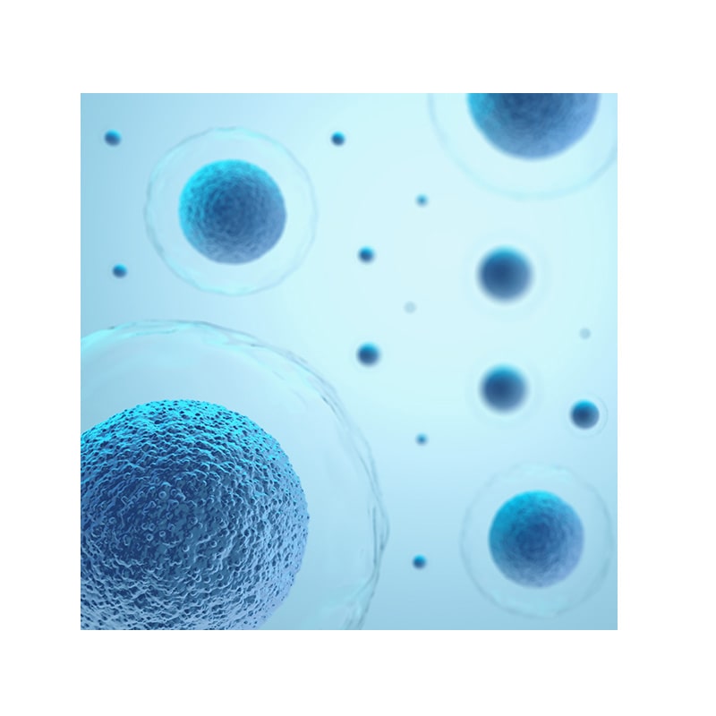 image of Nicotinamide Riboside