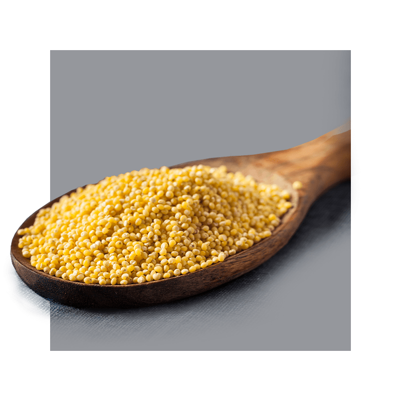 image of millet extract