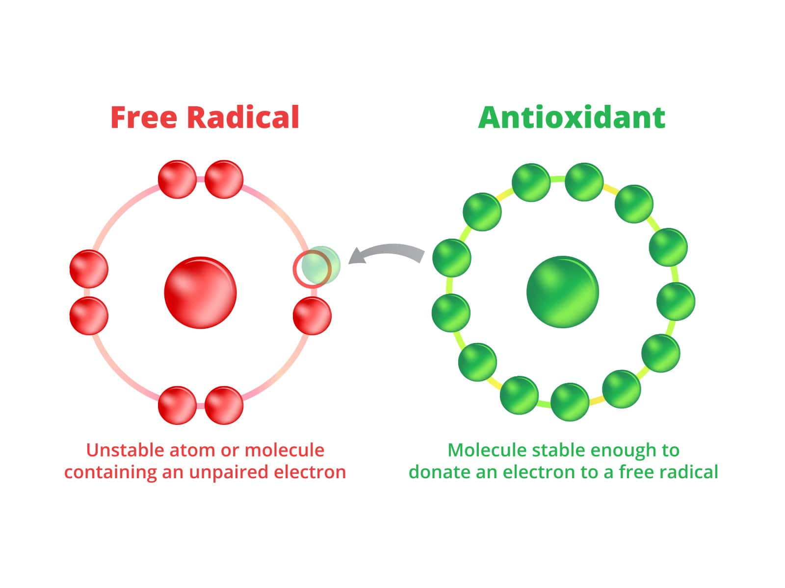 image of a module explaining free radicals and antioxidants
