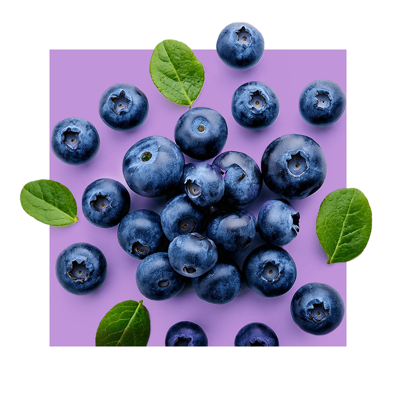 bilberries