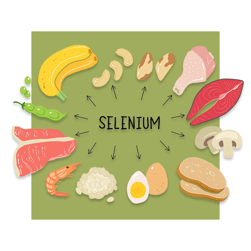 graphic representing selenium