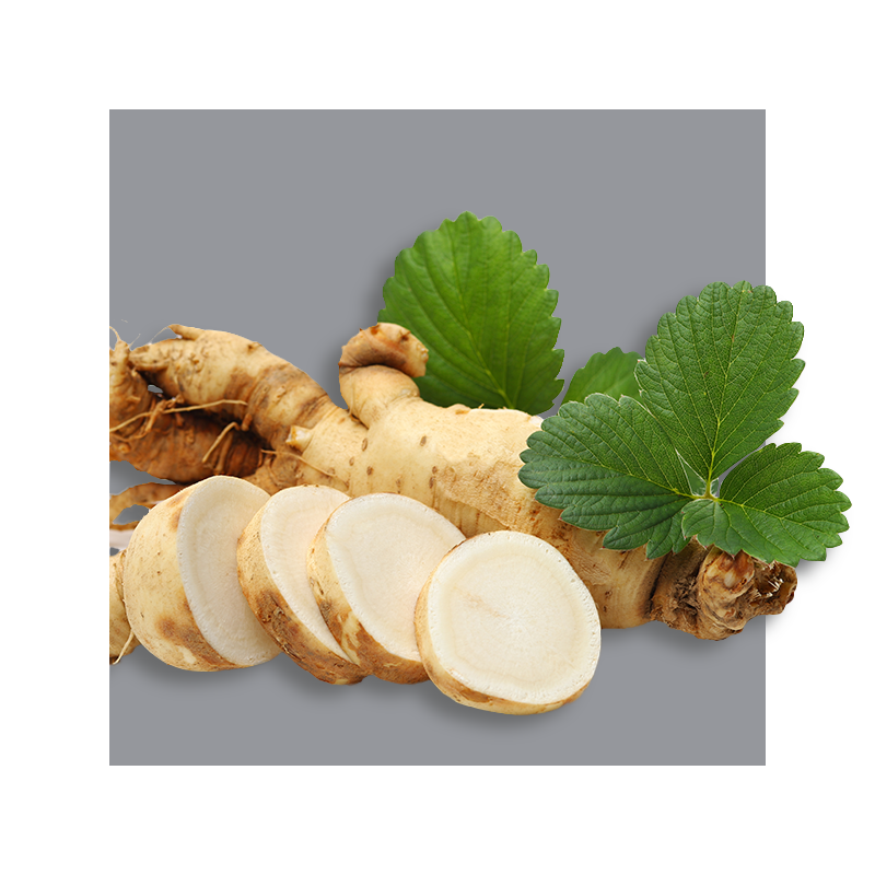 image of ginseng root