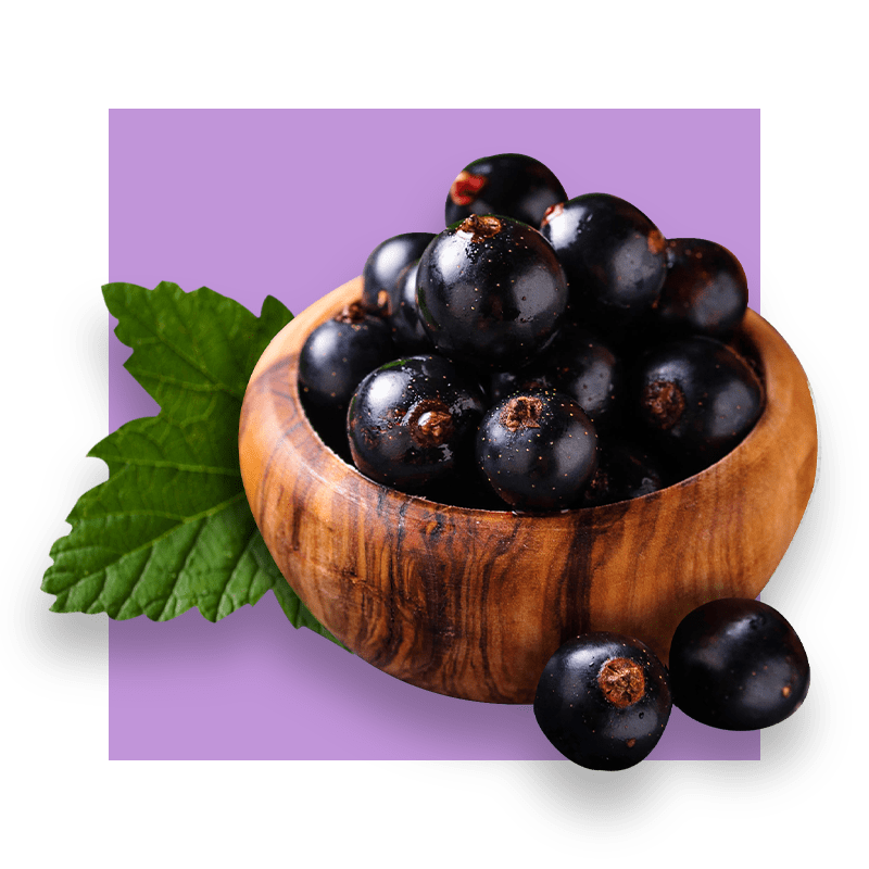 image of black currant