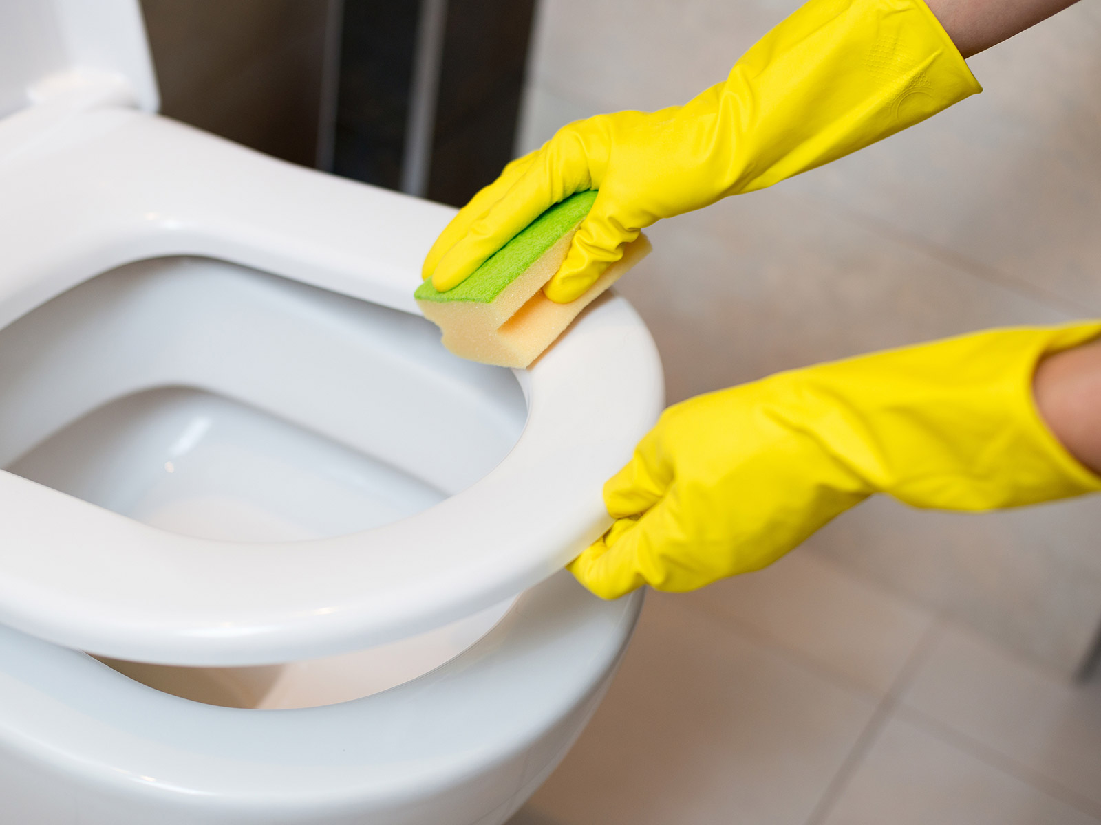 image of someone cleaning a toilet