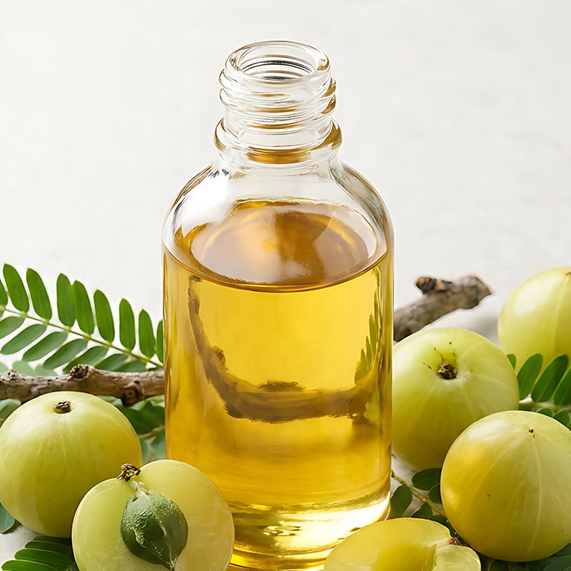 image of Phyllanthus Emblica Fruit and oil in a jar