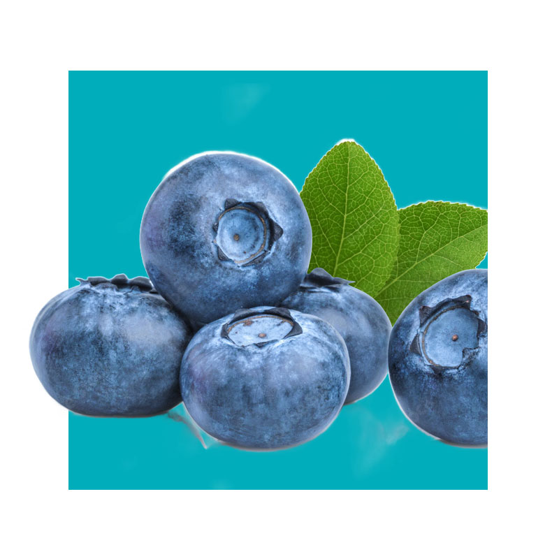 bowl of blueberries
