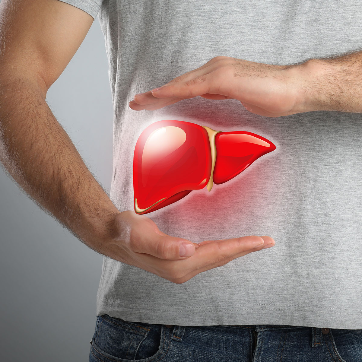 image of a person holding a healthy liver