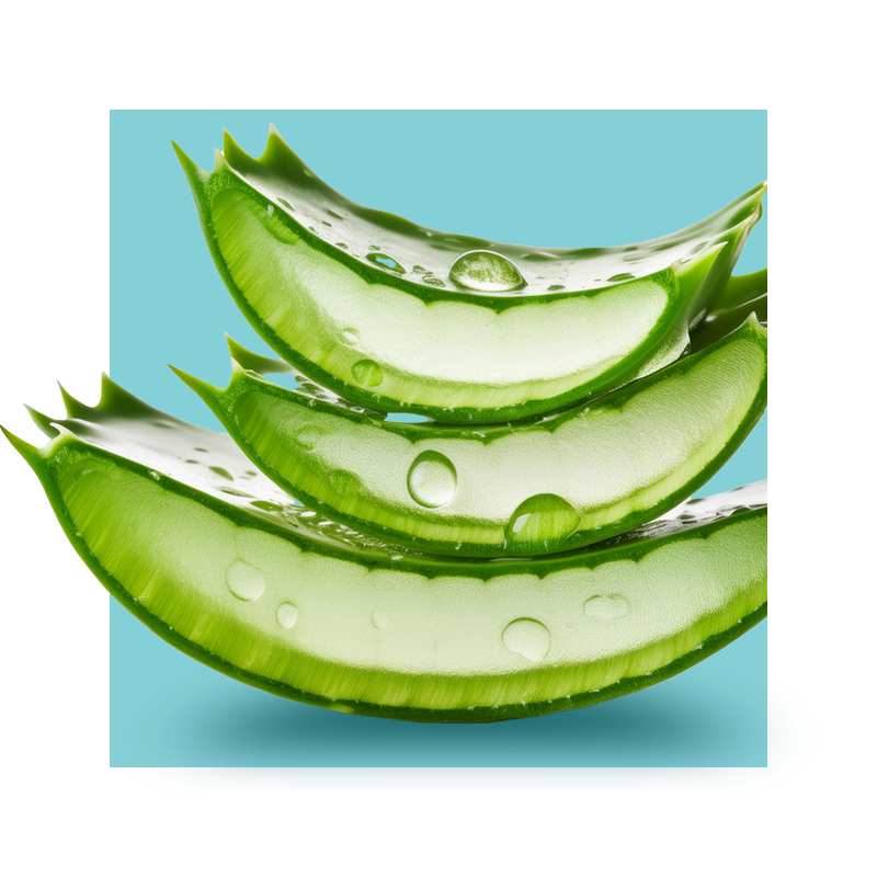 image of aloe vera leaves