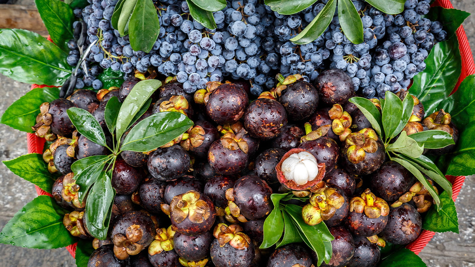 image of mangosteen abd acai