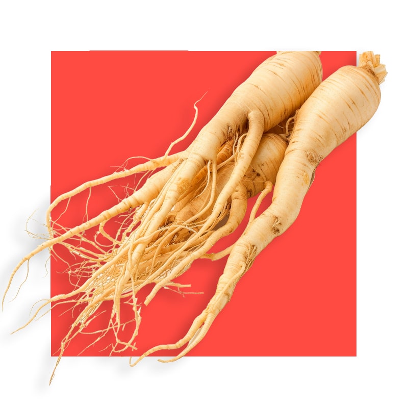 image of American Ginseng Extract (root)