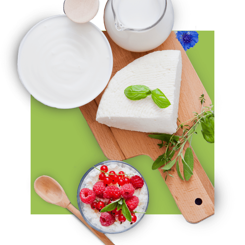 image of milk, cheese, and sour cream