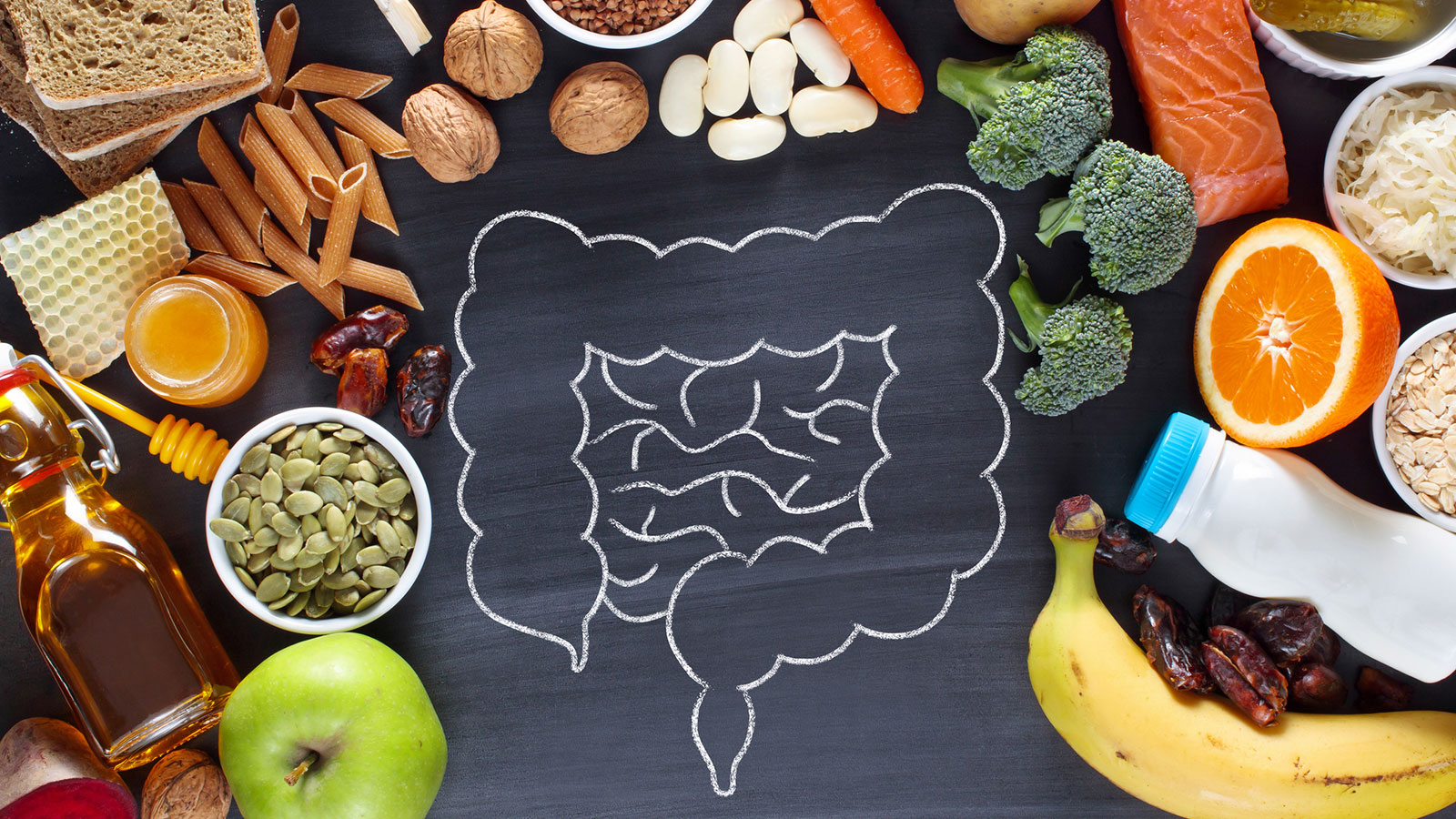 image of intestines and foods that help digest due to high fiber content