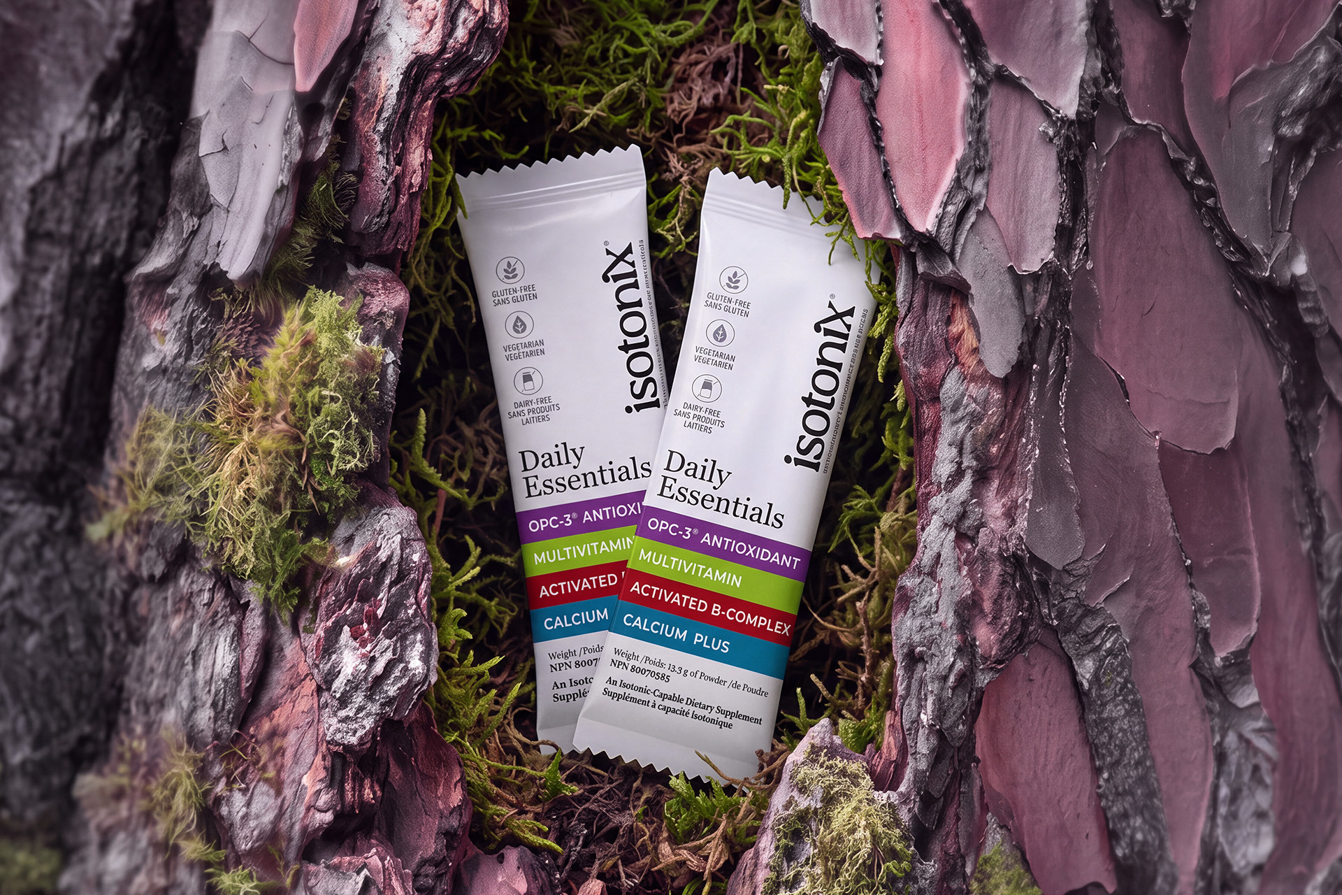 image of daily essentials nested inside mossy bark
