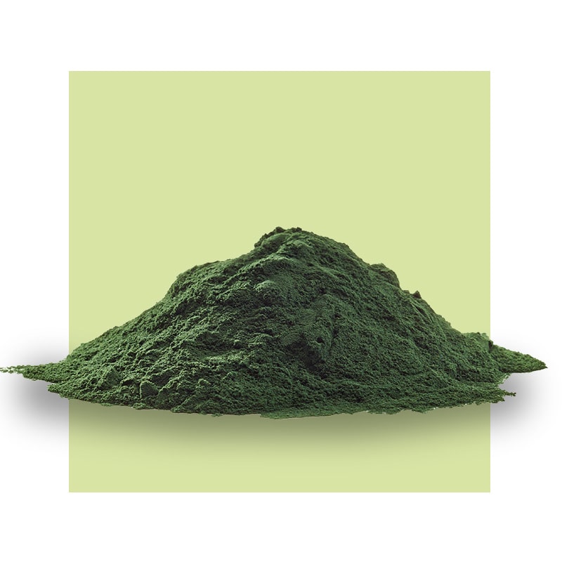 image of chlorella powder