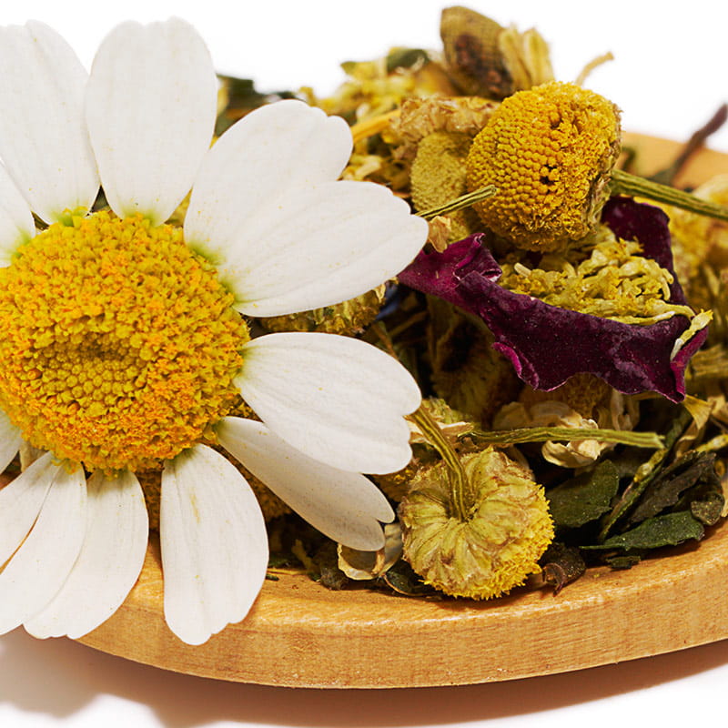 Chamomile Flower
