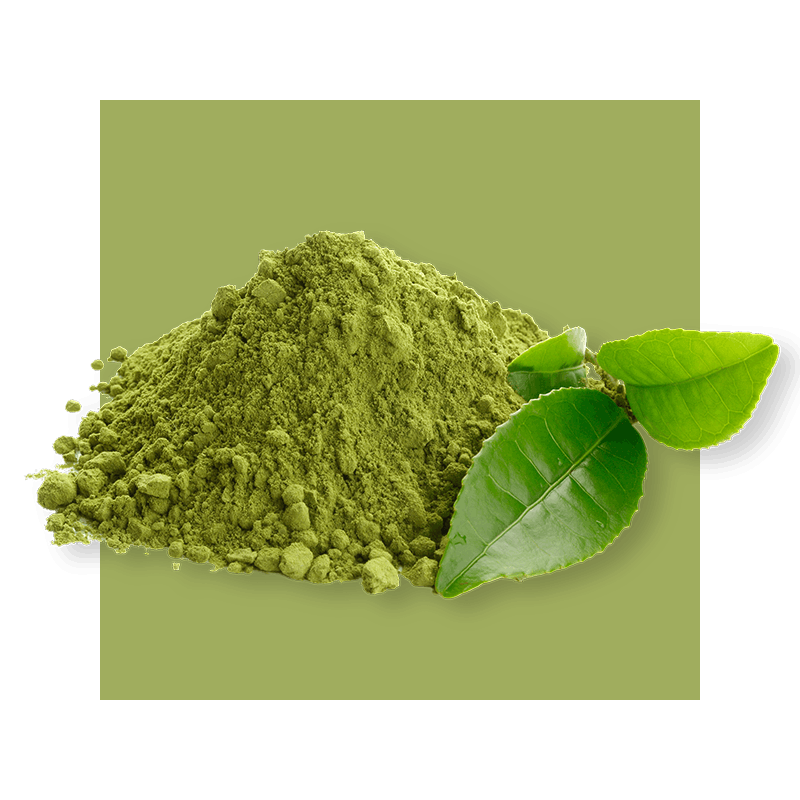 image of green tea