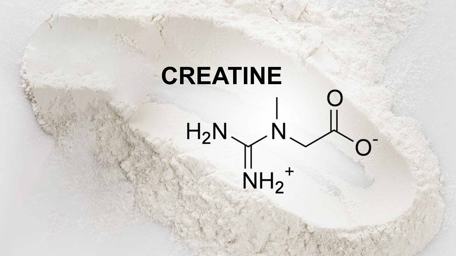 molecular structure of creatine monohydrate