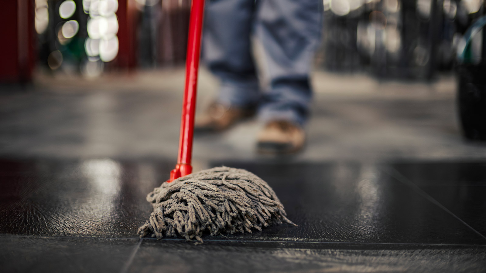 image of a mop