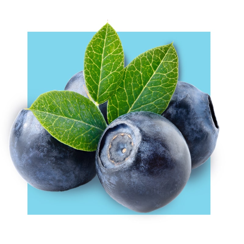 image of bilberries