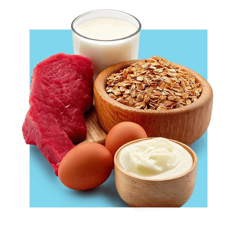 image of foods rich in B12