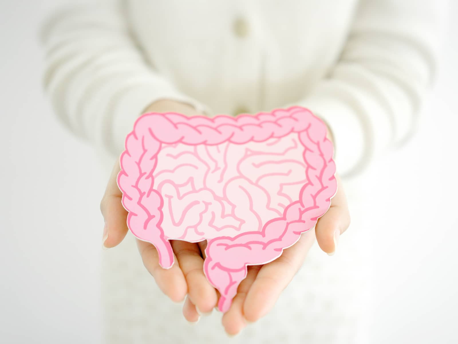 image of someone holding a diagram of intestines