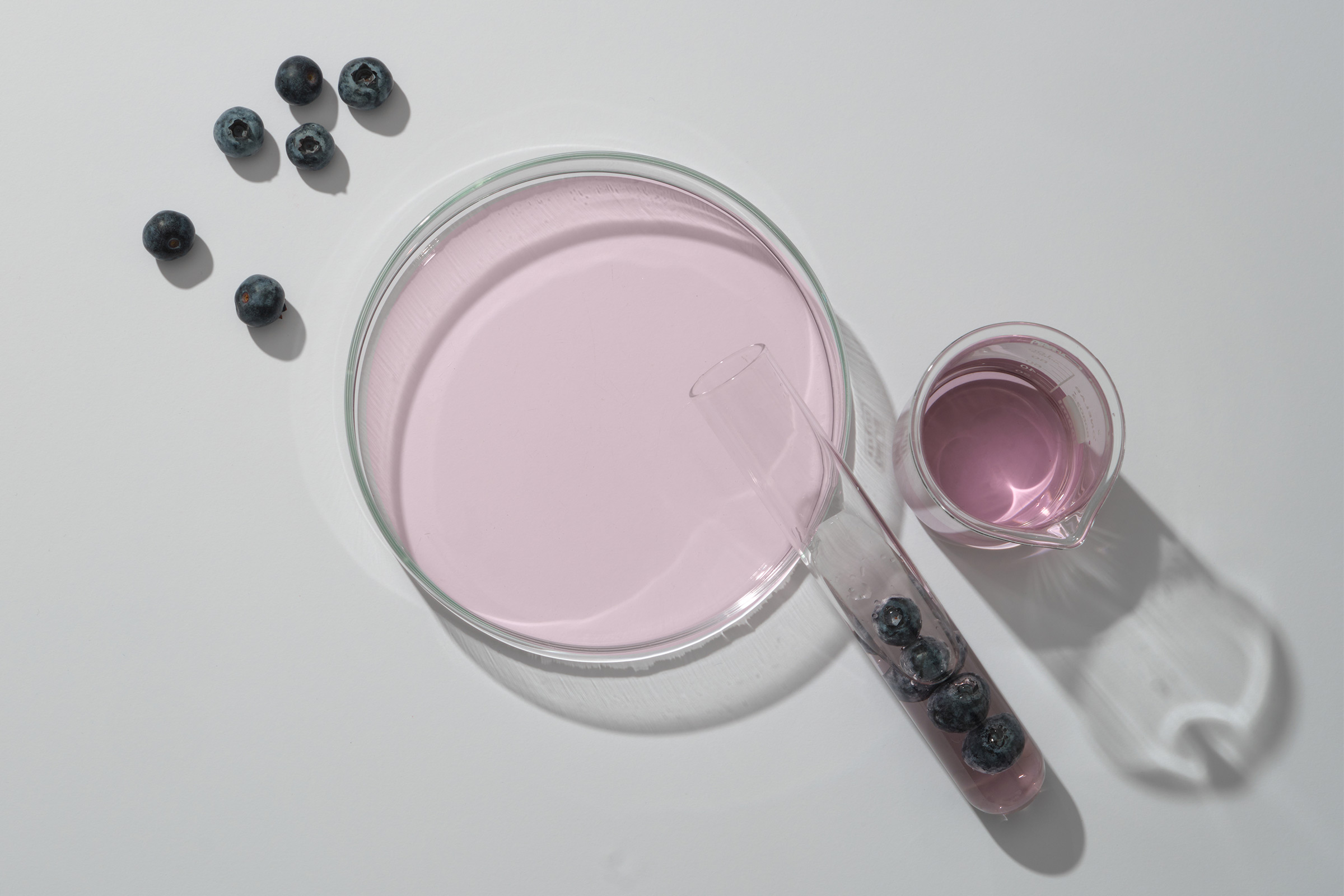 How nutraMetrix Isotonix OPC-3® Benefits You
