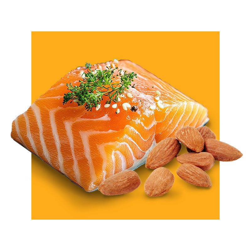image of foods rich in selenium
