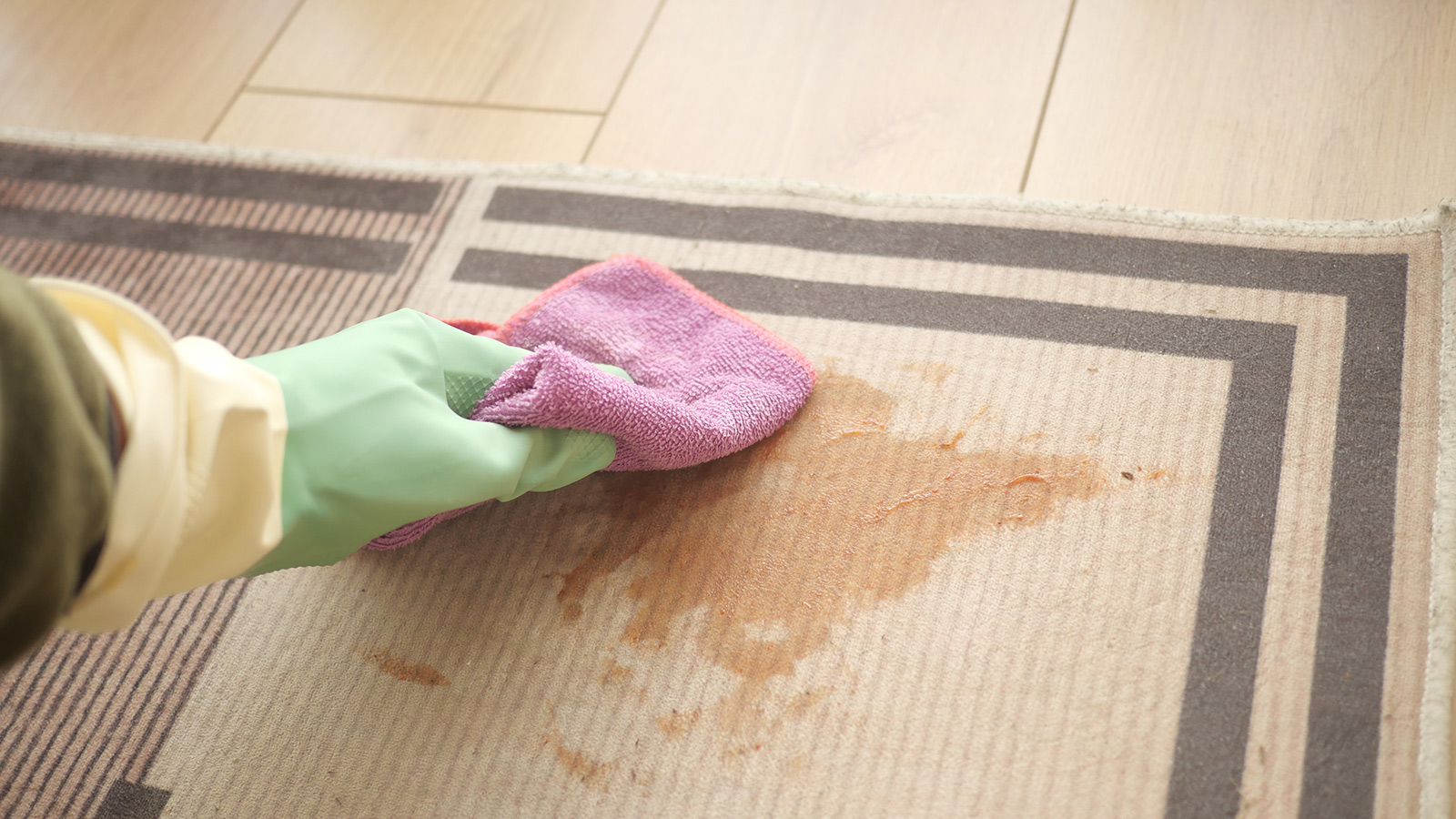 image of person cleaning a stain on a rug