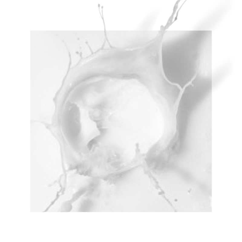 Saccharomyces Ferment