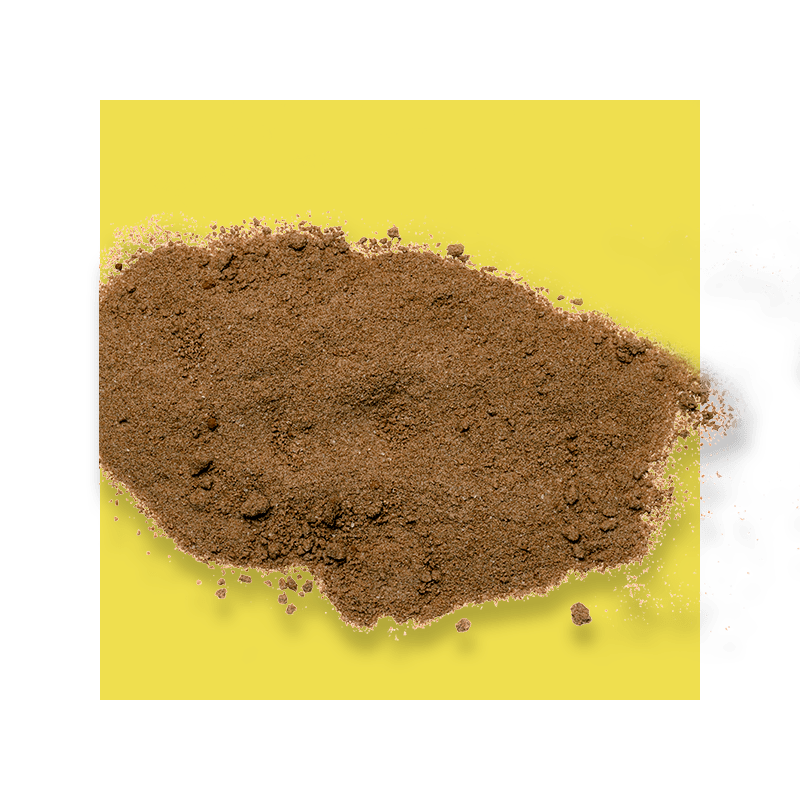 image of saw palmetto