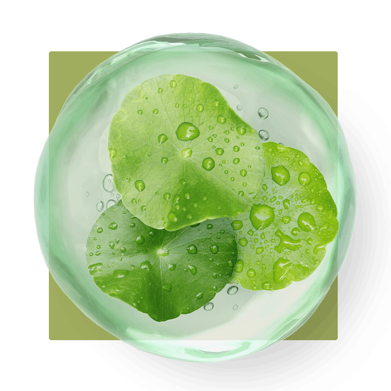 Plant Molecule