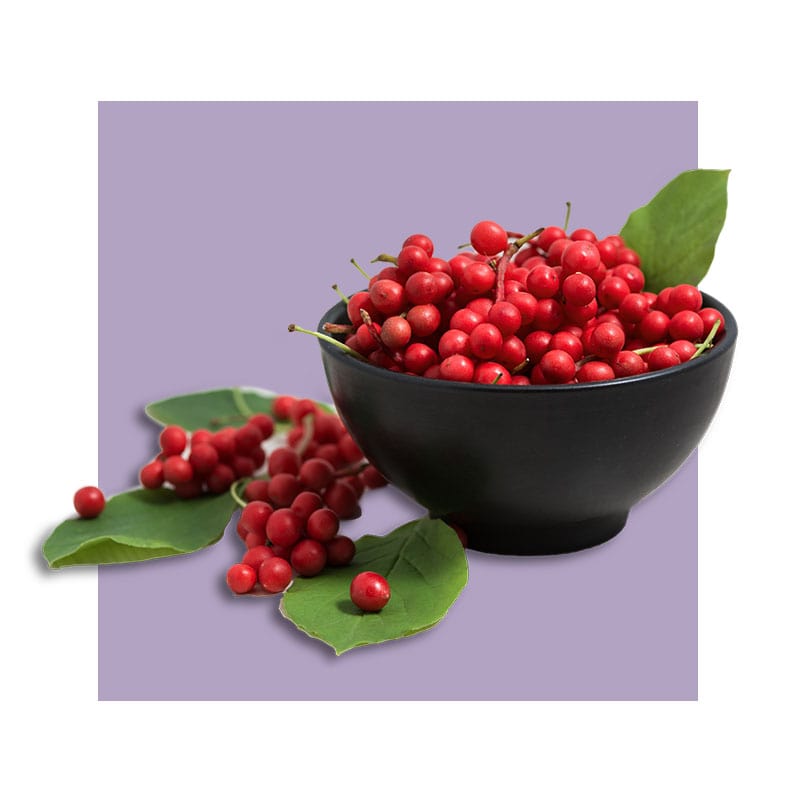 image of Schisandra Chinensis Fruit 