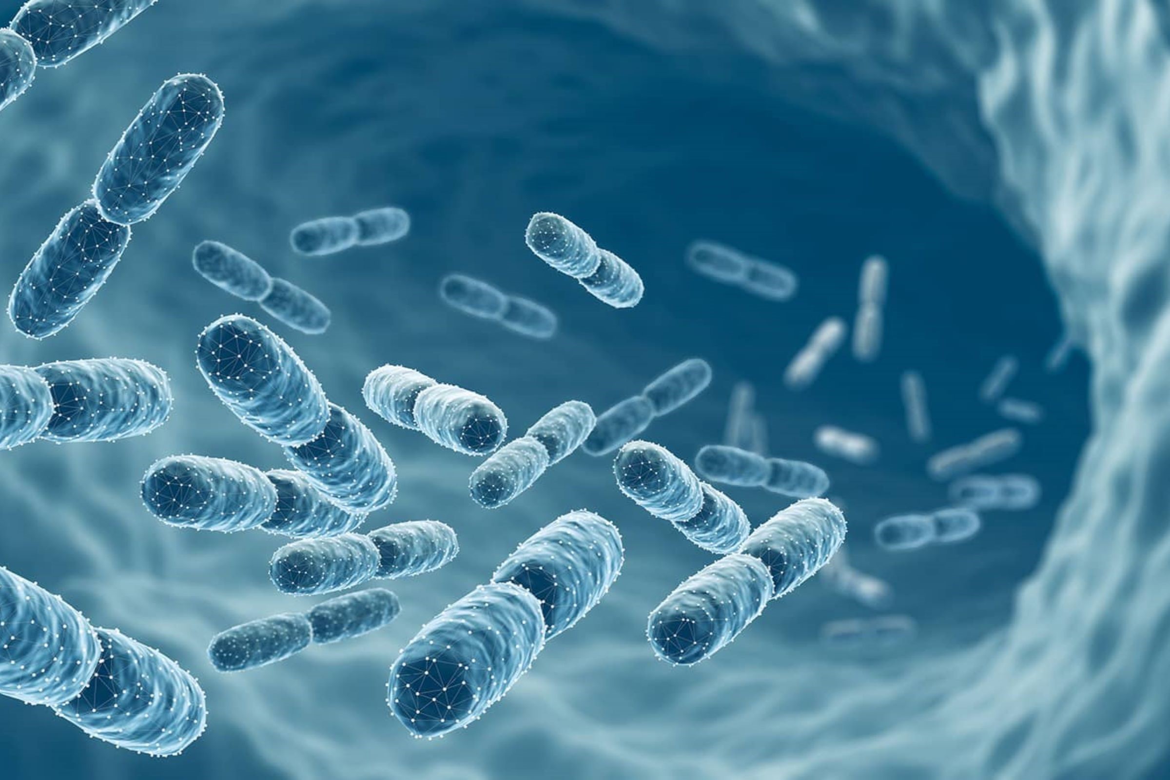 image of probiotics
