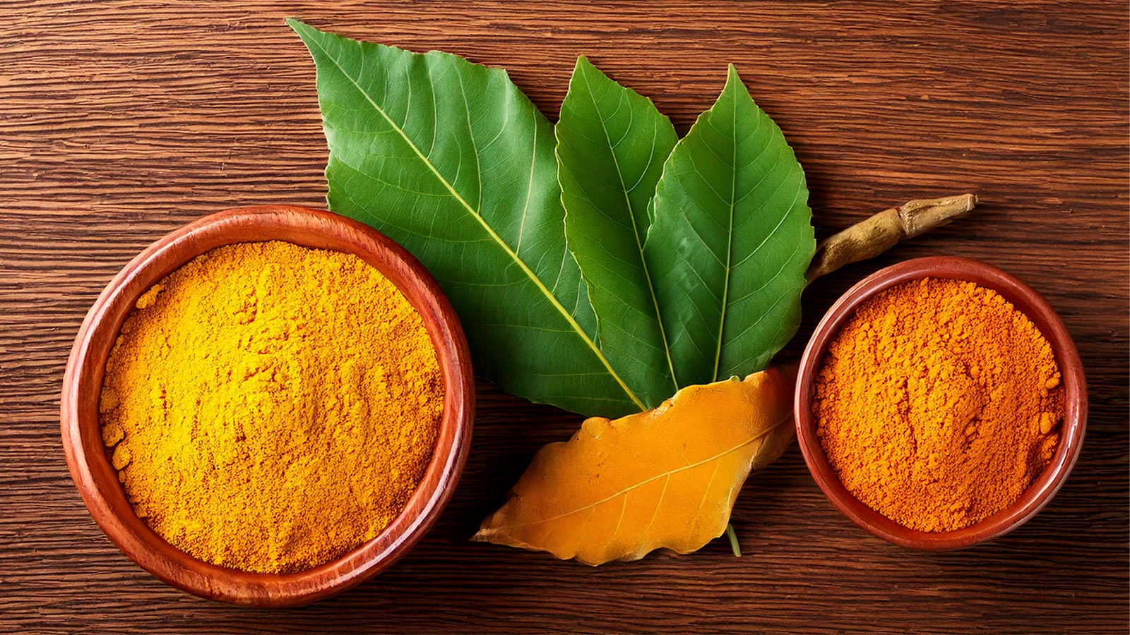 image of curry leaves 