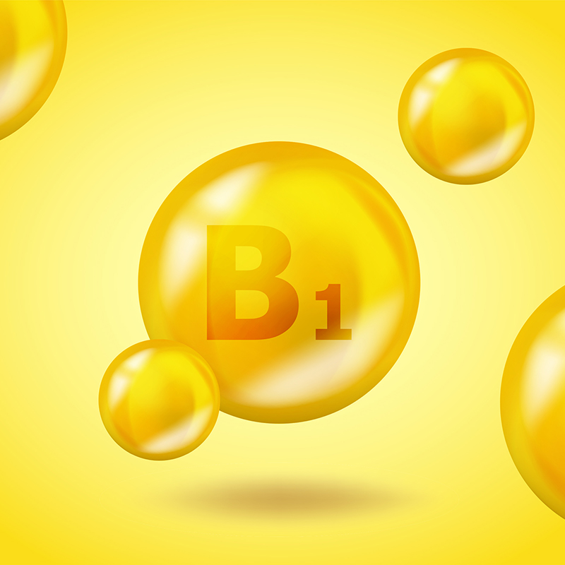 image of circle with B1 on it