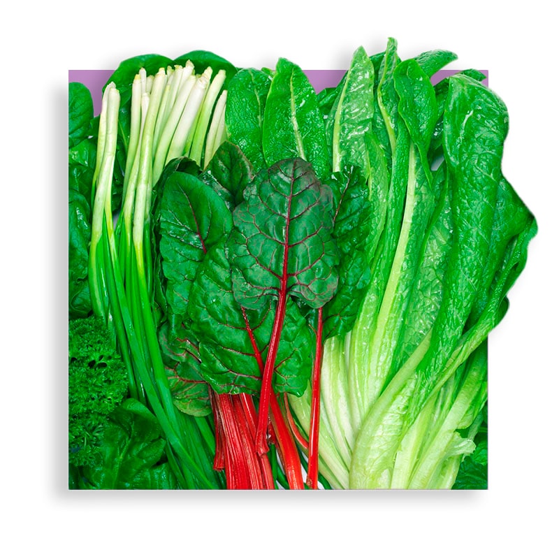 image of lettuce