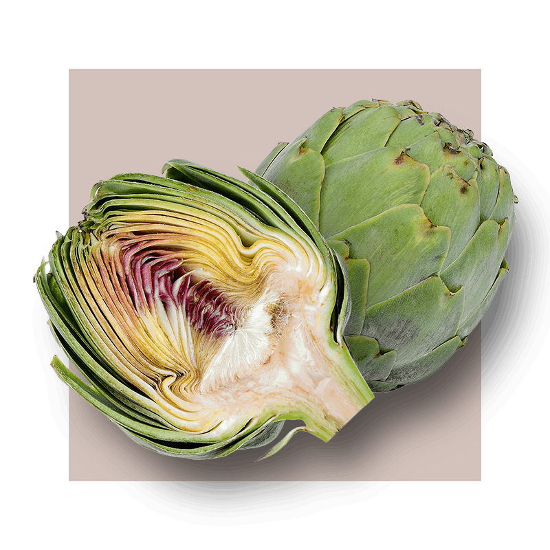 image of artichoke