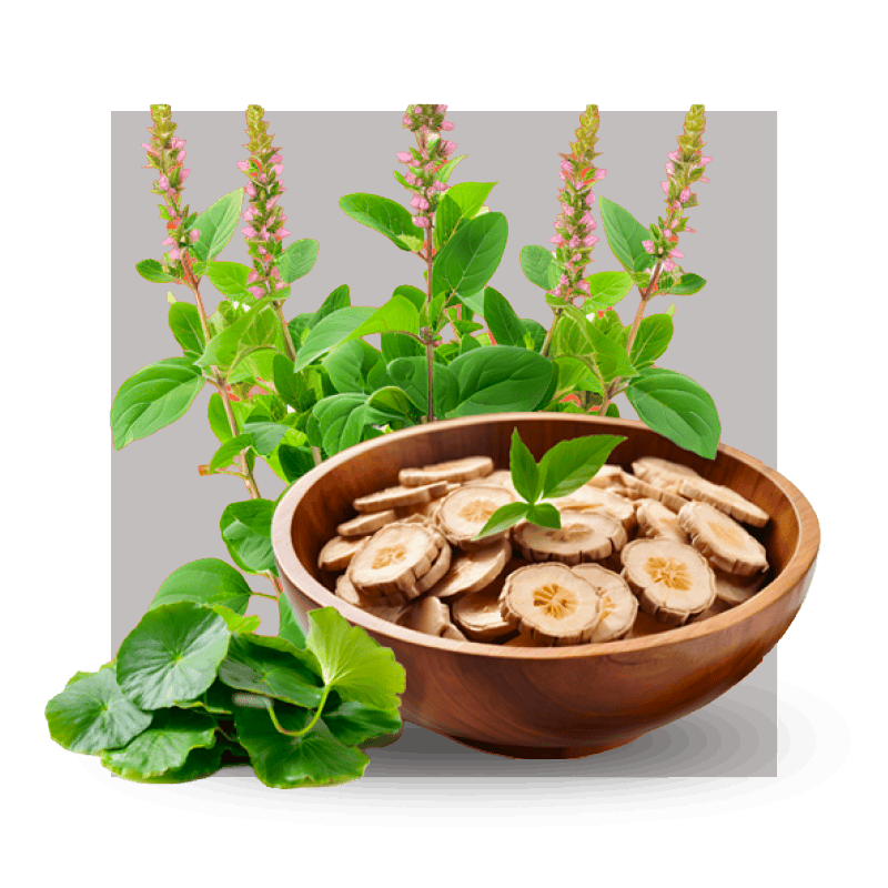 image of a variety of botanicals