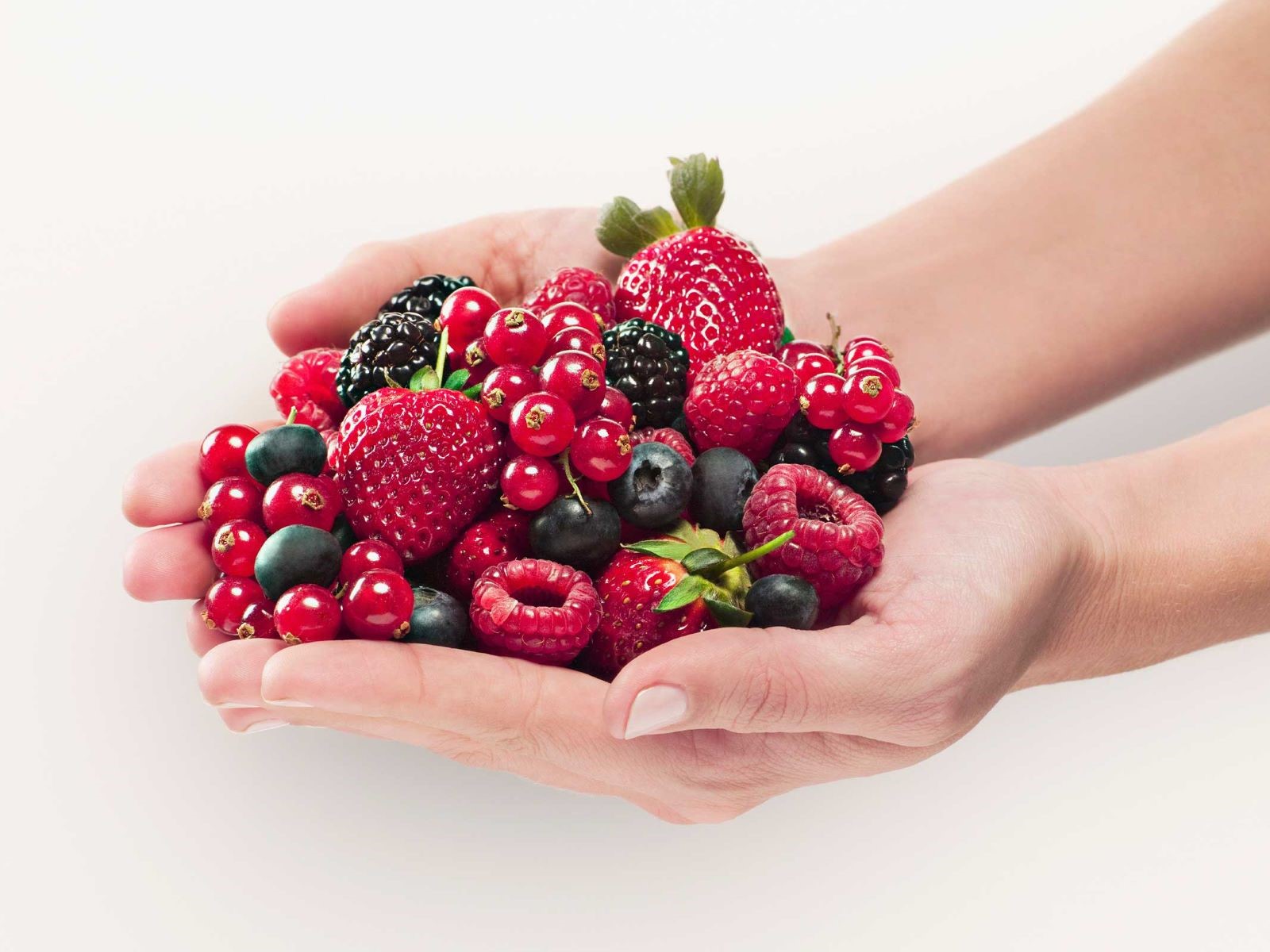 image of hands holding berries