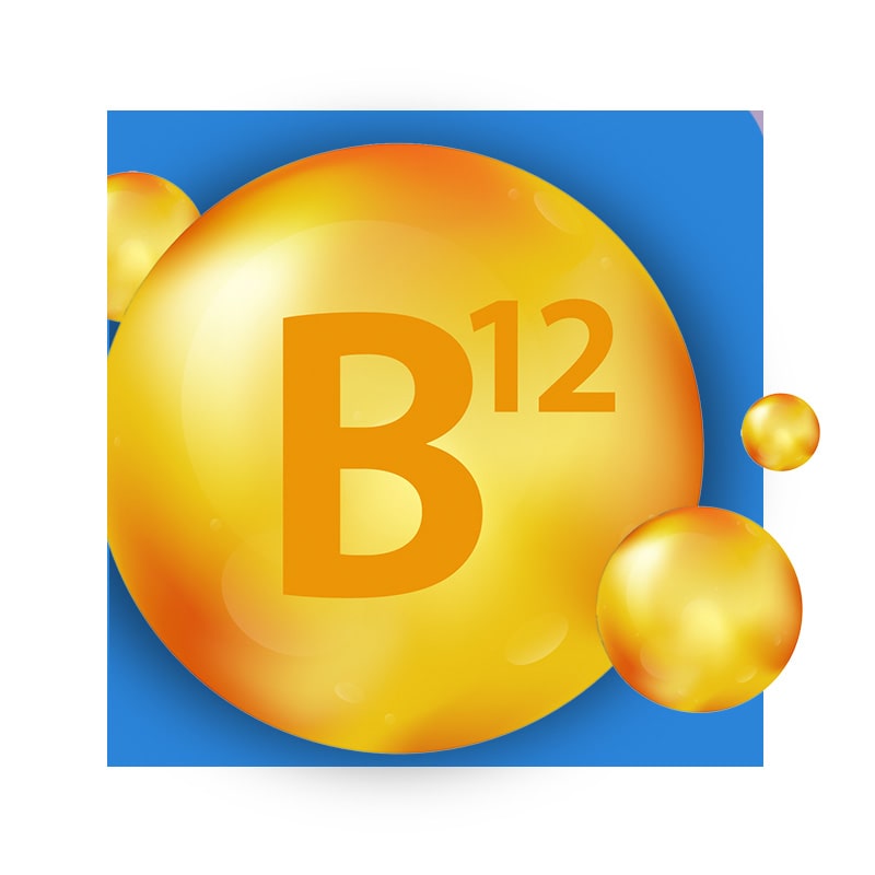 image of a module with B12 on it