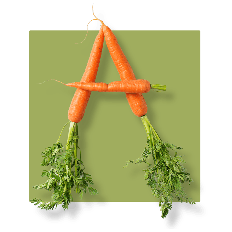 image of two carrots
