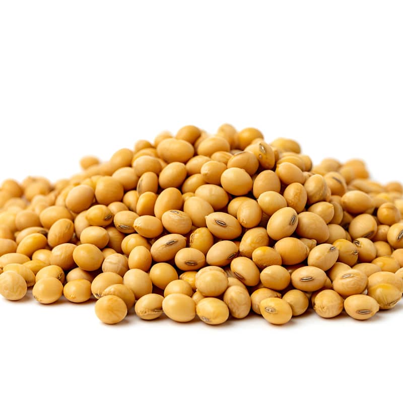 image of soybeans