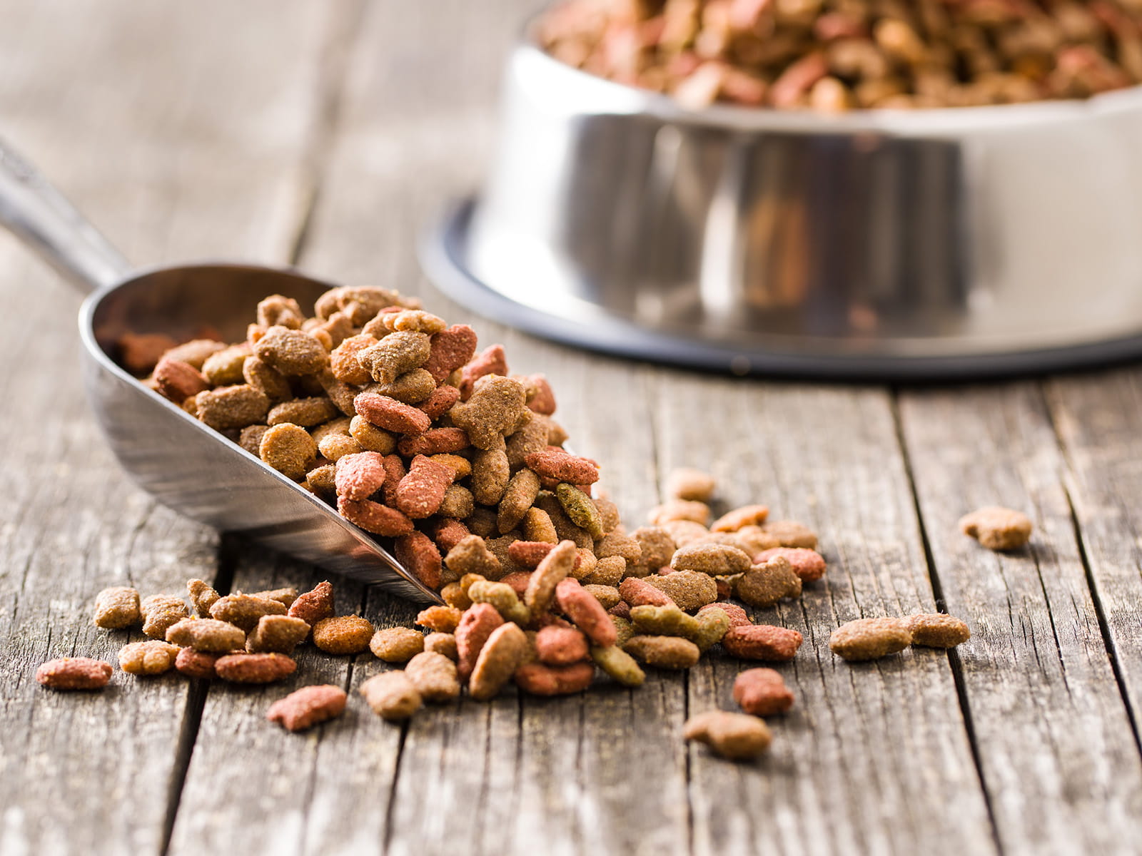 image of dog food