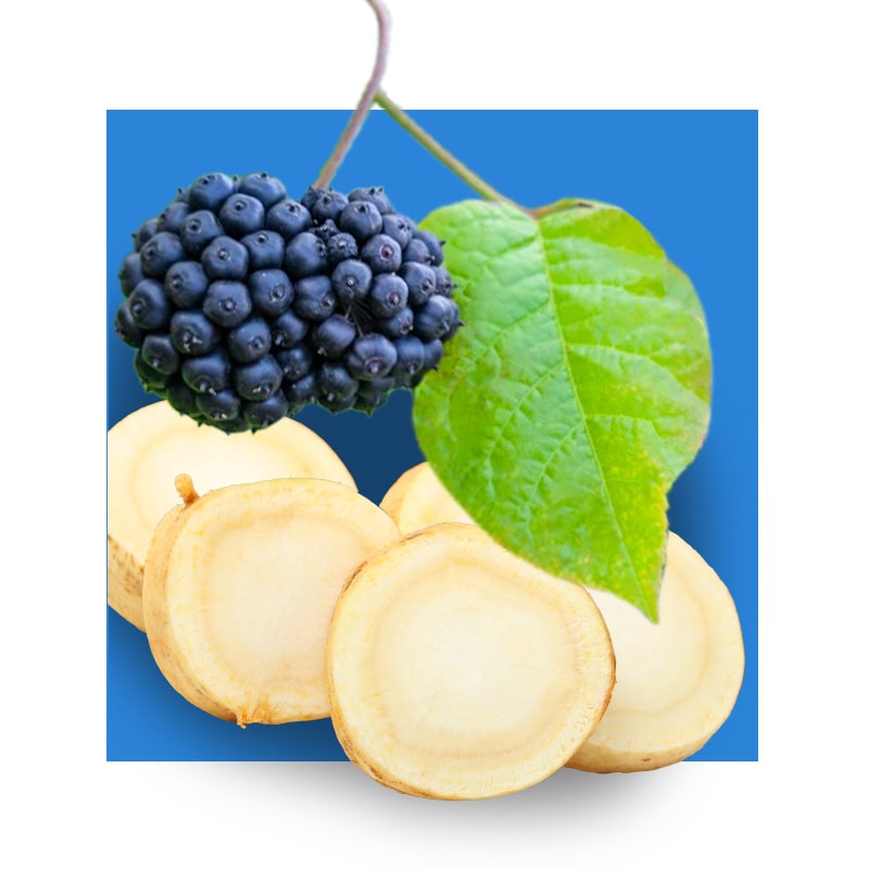 image of ginseng